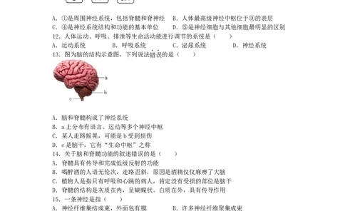 4.6.2神经系统的组成-练学堂2021-2022学年七年级生物下学期同步习题精练（人教版）（原卷版）_1、初中学习资料_4-6、生物_4-6-2、初一生物下册_同步练习（89份）