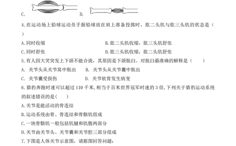 5.2.1动物的运动-2022-2023学年八年级生物上册课后培优分级练（人教版）（原卷版）_1、初中学习资料_4-6、生物_4-6-3、初二生物上册_1、同步练习（50份）