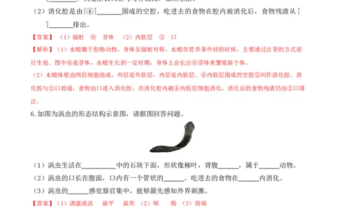 5.1.1腔肠动物和扁形动物-2022-2023学年八年级生物上册课后培优分级练（人教版）（解析版）_1、初中学习资料_4-6、生物_4-6-3、初二生物上册_1、同步练习（50份）