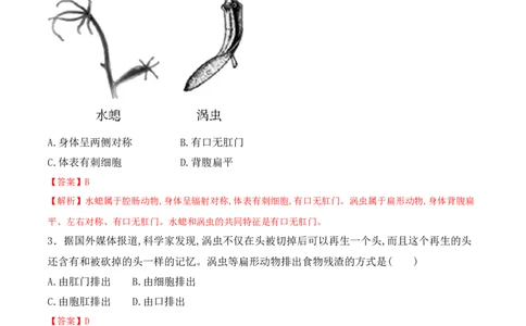 5.1.1腔肠动物和扁形动物-2022-2023学年八年级生物上册课后培优分级练（人教版）（解析版）_1、初中学习资料_4-6、生物_4-6-3、初二生物上册_1、同步练习（50份）