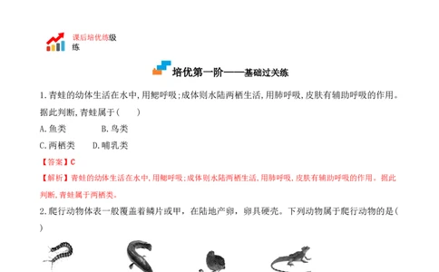 5.1.5两栖动物和爬行动物-2022-2023学年八年级生物上册课后培优分级练（人教版）（解析版）_1、初中学习资料_4-6、生物_4-6-3、初二生物上册_1、同步练习（50份）