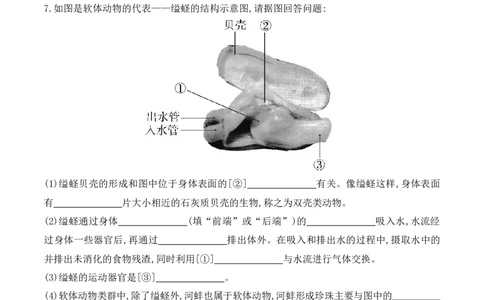 5.1.3软体动物和节肢动物-2022-2023学年八年级生物上册课后培优分级练（人教版）（原卷版）_1、初中学习资料_4-6、生物_4-6-3、初二生物上册_1、同步练习（50份）