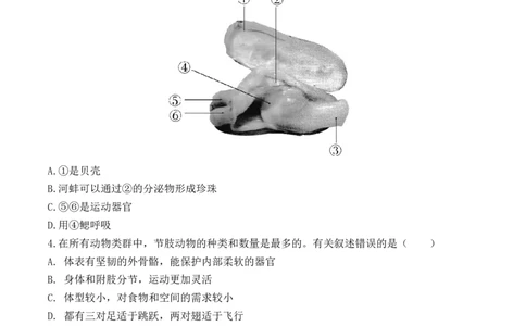 5.1.3软体动物和节肢动物-2022-2023学年八年级生物上册课后培优分级练（人教版）（原卷版）_1、初中学习资料_4-6、生物_4-6-3、初二生物上册_1、同步练习（50份）