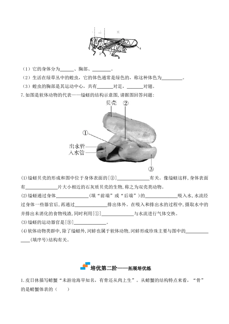 5.1.3软体动物和节肢动物-2022-2023学年八年级生物上册课后培优分级练（人教版）（原卷版）_1、初中学习资料_4-6、生物_4-6-3、初二生物上册_1、同步练习（50份）