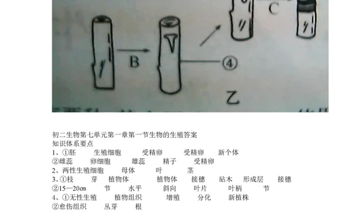 7.1.1植物的生殖同步练习3含答案_1、初中学习资料_4-6、生物_4-6-4、初二生物下册_1、同步练习（67份）_赠送同步练习53份_7.1生物的生殖和发育_第1节植物的生殖