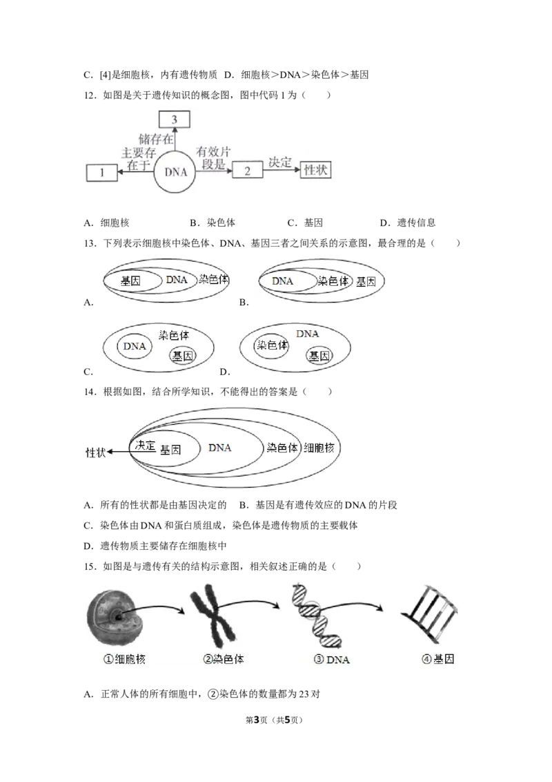 7.2.2基因在亲子代间的传递-2020-2021学年八年级下册生物10分钟达标练习（人教版）（原卷版）_1、初中学习资料_4-6、生物_4-6-4、初二生物下册_1、同步练习（67份）