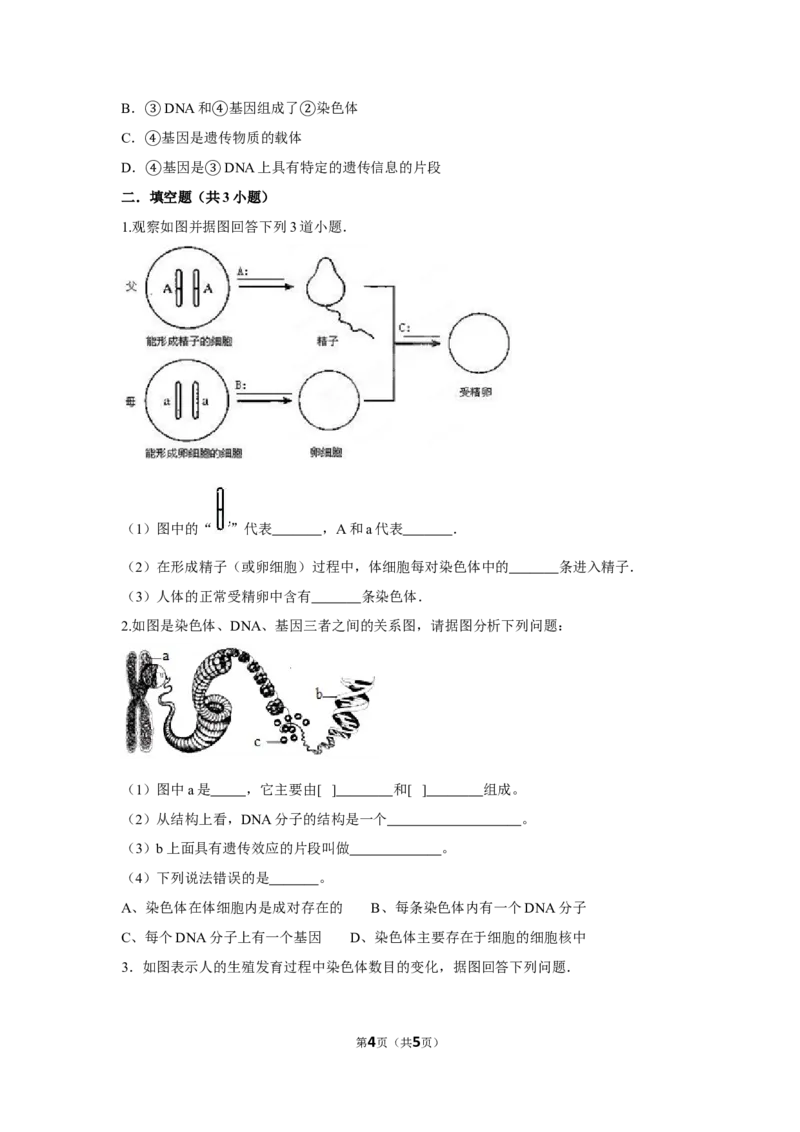 7.2.2基因在亲子代间的传递-2020-2021学年八年级下册生物10分钟达标练习（人教版）（原卷版）_1、初中学习资料_4-6、生物_4-6-4、初二生物下册_1、同步练习（67份）