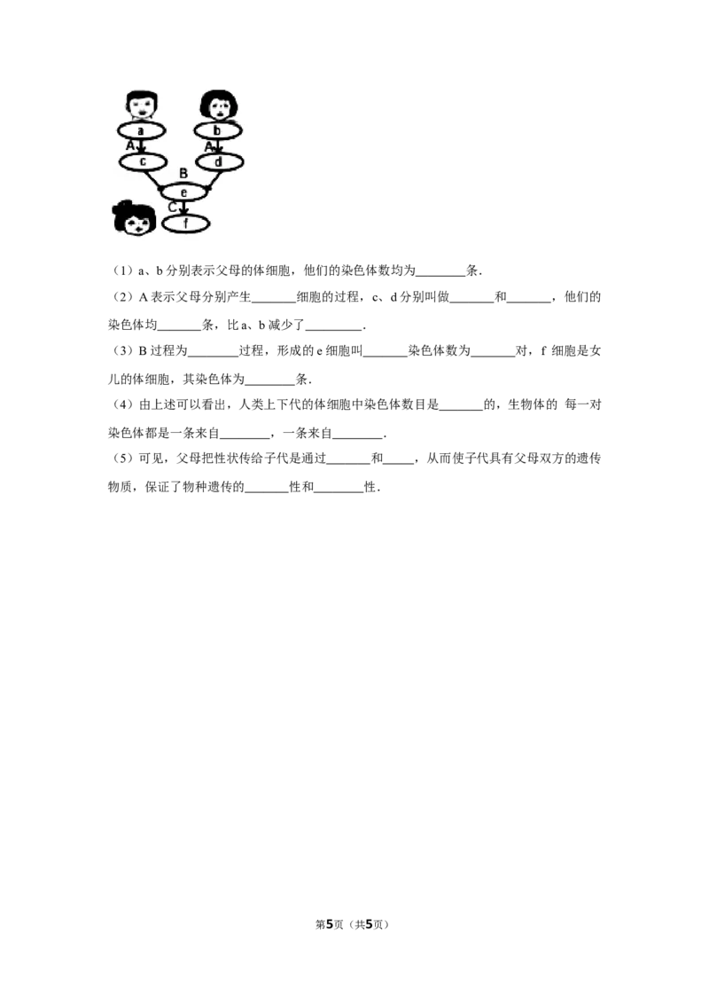 7.2.2基因在亲子代间的传递-2020-2021学年八年级下册生物10分钟达标练习（人教版）（原卷版）_1、初中学习资料_4-6、生物_4-6-4、初二生物下册_1、同步练习（67份）