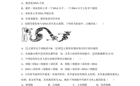 7.2.2基因在亲子代间的传递-2020-2021学年八年级下册生物10分钟达标练习（人教版）（原卷版）_1、初中学习资料_4-6、生物_4-6-4、初二生物下册_1、同步练习（67份）
