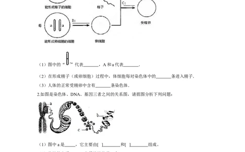 7.2.2基因在亲子代间的传递-2020-2021学年八年级下册生物10分钟达标练习（人教版）（原卷版）_1、初中学习资料_4-6、生物_4-6-4、初二生物下册_1、同步练习（67份）