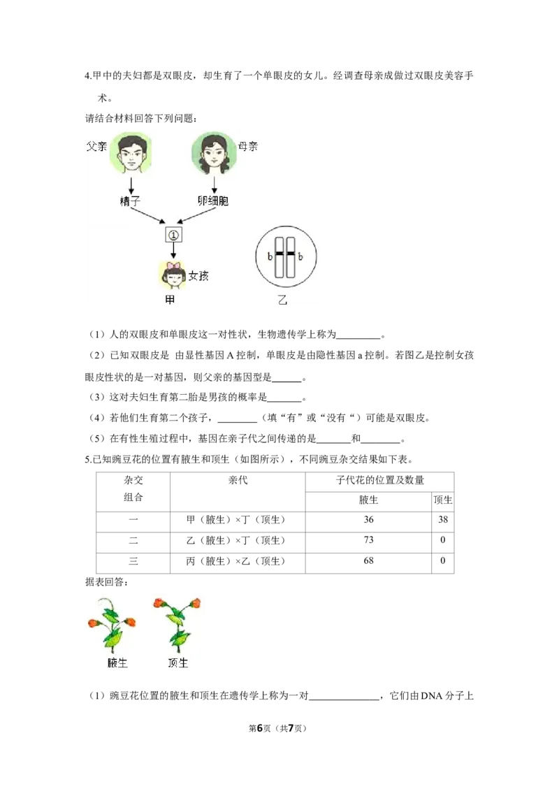 7.2.3基因的显性和隐性-2020-2021学年八年级下册生物10分钟达标练习（人教版）（原卷版）_1、初中学习资料_4-6、生物_4-6-4、初二生物下册_1、同步练习（67份）_达标练习（人教版）（14份）