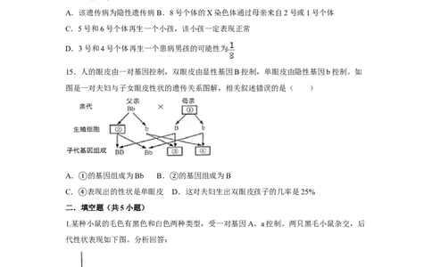 7.2.3基因的显性和隐性-2020-2021学年八年级下册生物10分钟达标练习（人教版）（原卷版）_1、初中学习资料_4-6、生物_4-6-4、初二生物下册_1、同步练习（67份）_达标练习（人教版）（14份）