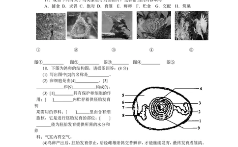7.1.4《鸟的生殖和发育》同步练习4_1、初中学习资料_4-6、生物_4-6-4、初二生物下册_1、同步练习（67份）_赠送同步练习53份_7.1生物的生殖和发育_第4节鸟的生殖和发育