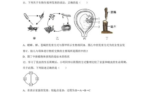 7.1.2昆虫的生殖和发育-2020-2021学年八年级下册生物10分钟达标练习（人教版）（原卷版）_1、初中学习资料_4-6、生物_4-6-4、初二生物下册_1、同步练习（67份）_达标练习（人教版）（14份）
