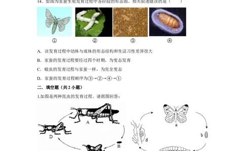 7.1.2昆虫的生殖和发育-2020-2021学年八年级下册生物10分钟达标练习（人教版）（原卷版）_1、初中学习资料_4-6、生物_4-6-4、初二生物下册_1、同步练习（67份）_达标练习（人教版）（14份）