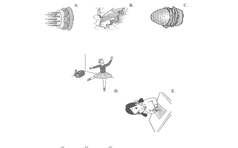 Unit10达标测试卷_1、初中学习资料_4-3、英语_4-3-3、初二英语上册_人教英语八年级上单元试卷（120份）_单元测试卷版式2（有听力）_Unit10Ifyougototheparty，youllhaveagreattime！