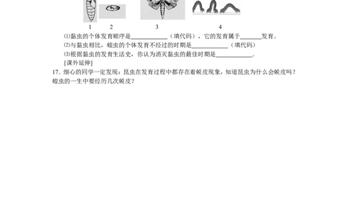 7.1.2昆虫的生殖和发育同步练习3_1、初中学习资料_4-6、生物_4-6-4、初二生物下册_1、同步练习（67份）_赠送同步练习53份_7.1生物的生殖和发育_第2节昆虫的生殖和发育
