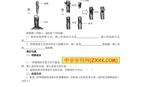 7.1.1植物的生殖同步练习2含答案_1、初中学习资料_4-6、生物_4-6-4、初二生物下册_1、同步练习（67份）_赠送同步练习53份_7.1生物的生殖和发育_第1节植物的生殖