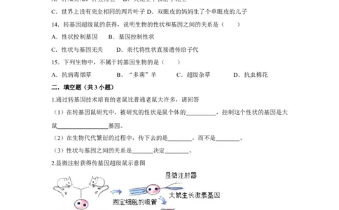 7.2.1基因控制生物的性状-2020-2021学年八年级下册生物10分钟达标练习（人教版）（原卷版）_1、初中学习资料_4-6、生物_4-6-4、初二生物下册_1、同步练习（67份）
