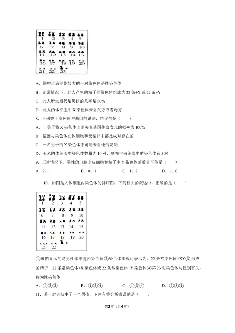 7.2.4人的性别遗传-2020-2021学年八年级下册生物10分钟达标练习（人教版）（原卷版）_1、初中学习资料_4-6、生物_4-6-4、初二生物下册_1、同步练习（67份）_达标练习（人教版）（14份）