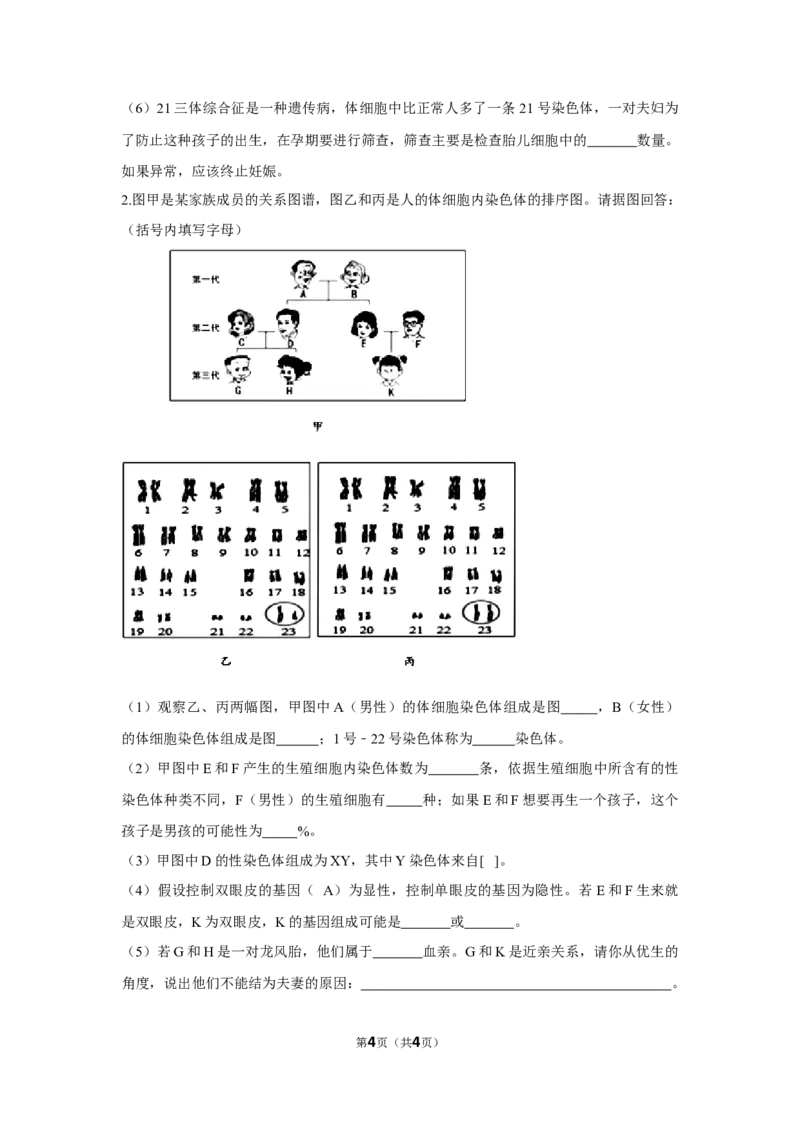 7.2.4人的性别遗传-2020-2021学年八年级下册生物10分钟达标练习（人教版）（原卷版）_1、初中学习资料_4-6、生物_4-6-4、初二生物下册_1、同步练习（67份）_达标练习（人教版）（14份）