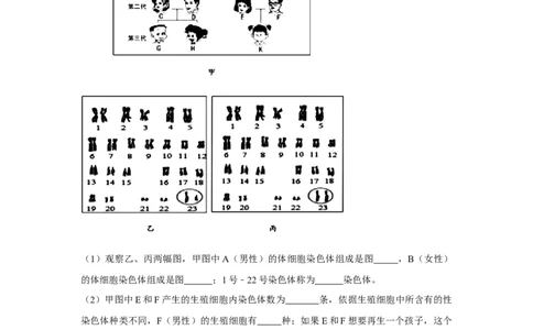 7.2.4人的性别遗传-2020-2021学年八年级下册生物10分钟达标练习（人教版）（原卷版）_1、初中学习资料_4-6、生物_4-6-4、初二生物下册_1、同步练习（67份）_达标练习（人教版）（14份）