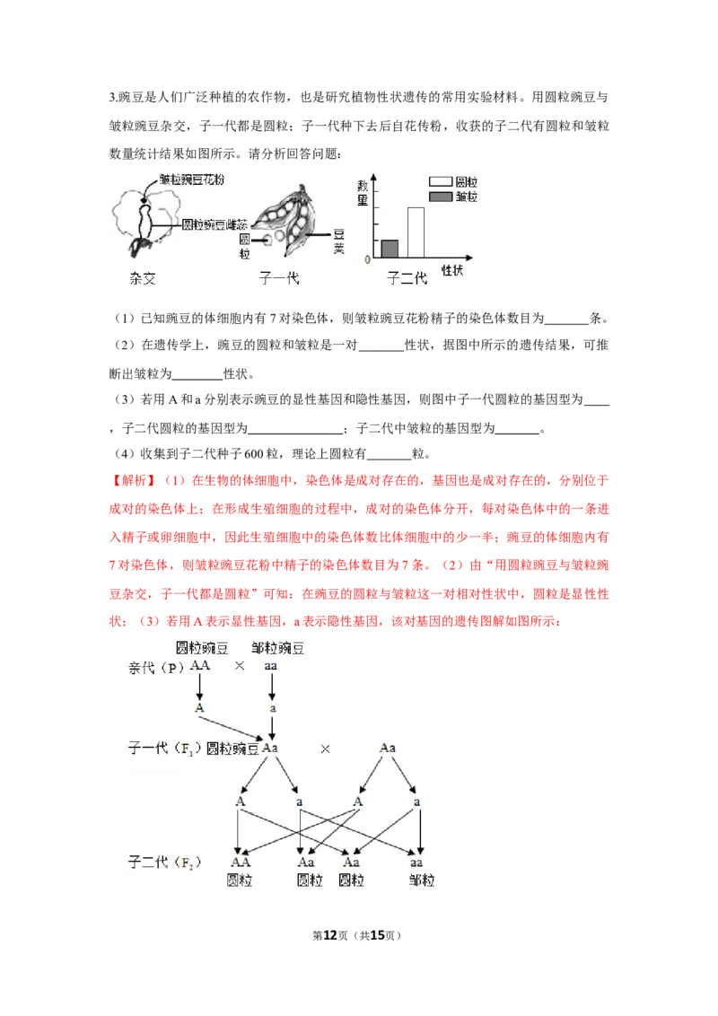 7.2.3基因的显性和隐性-2020-2021学年八年级下册生物10分钟达标练习（人教版）（解析版）_1、初中学习资料_4-6、生物_4-6-4、初二生物下册_1、同步练习（67份）_达标练习（人教版）（14份）