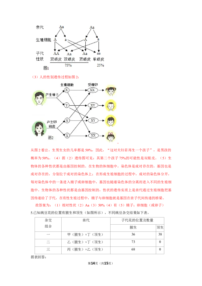 7.2.3基因的显性和隐性-2020-2021学年八年级下册生物10分钟达标练习（人教版）（解析版）_1、初中学习资料_4-6、生物_4-6-4、初二生物下册_1、同步练习（67份）_达标练习（人教版）（14份）