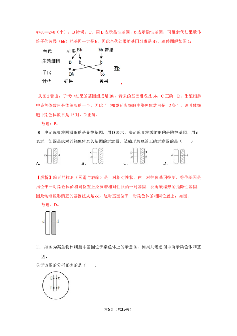 7.2.3基因的显性和隐性-2020-2021学年八年级下册生物10分钟达标练习（人教版）（解析版）_1、初中学习资料_4-6、生物_4-6-4、初二生物下册_1、同步练习（67份）_达标练习（人教版）（14份）