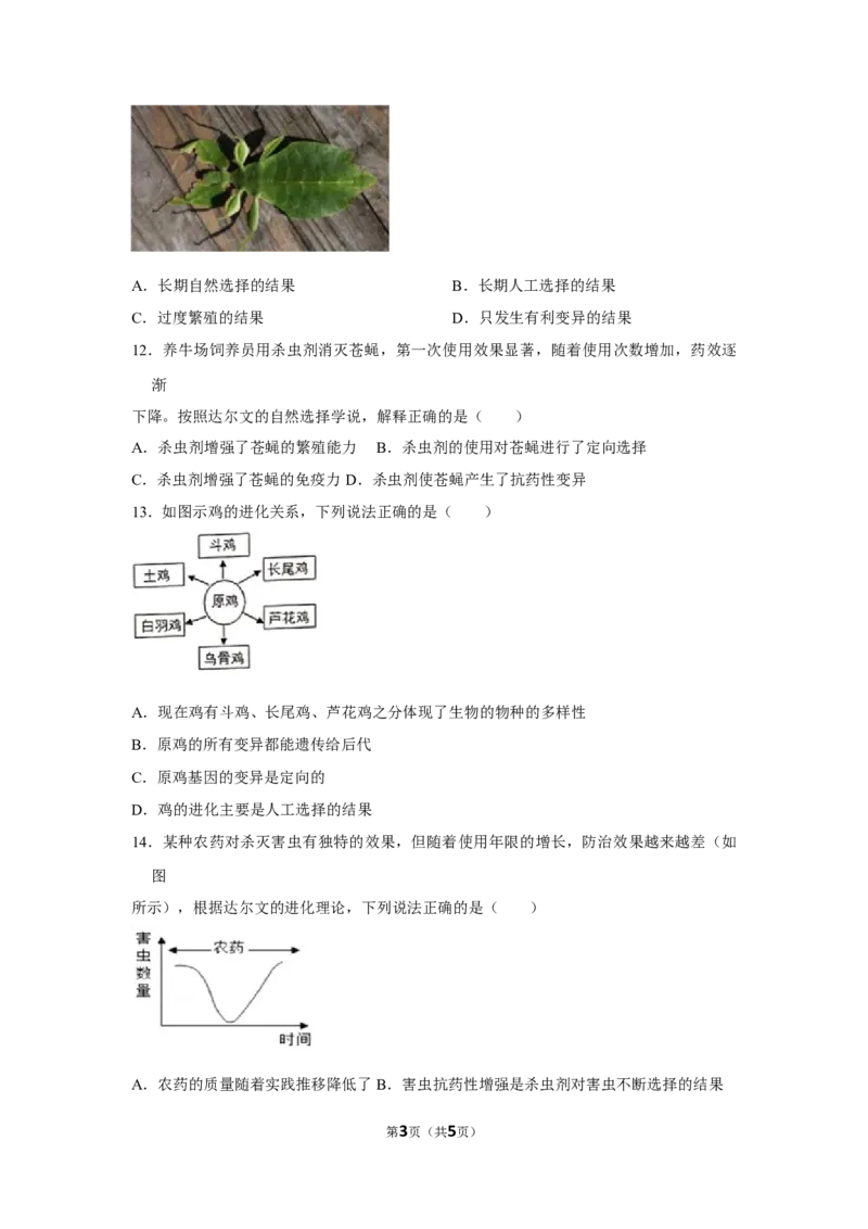 7.3.3生物进化的原因-2020-2021学年八年级下册生物10分钟达标练习（人教版）（原卷版）_1、初中学习资料_4-6、生物_4-6-4、初二生物下册_1、同步练习（67份）_达标练习（人教版）（14份）