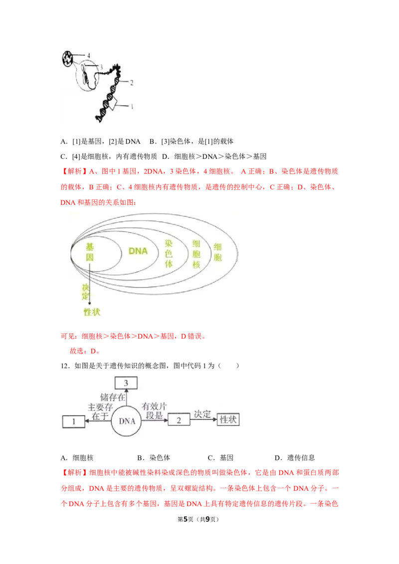 7.2.2基因在亲子代间的传递-2020-2021学年八年级下册生物10分钟达标练习（人教版）（解析版）_1、初中学习资料_4-6、生物_4-6-4、初二生物下册_1、同步练习（67份）
