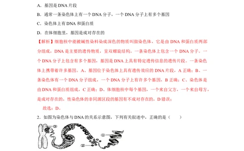 7.2.2基因在亲子代间的传递-2020-2021学年八年级下册生物10分钟达标练习（人教版）（解析版）_1、初中学习资料_4-6、生物_4-6-4、初二生物下册_1、同步练习（67份）