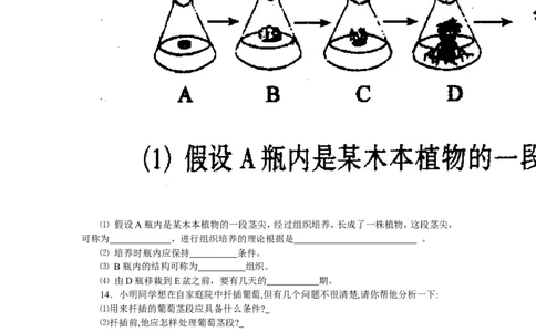 7.1.1植物的生殖同步练习1_1、初中学习资料_4-6、生物_4-6-4、初二生物下册_1、同步练习（67份）_赠送同步练习53份_7.1生物的生殖和发育_第1节植物的生殖
