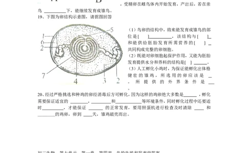 7.1.4《鸟的生殖和发育》同步练习3含答案_1、初中学习资料_4-6、生物_4-6-4、初二生物下册_1、同步练习（67份）_赠送同步练习53份_7.1生物的生殖和发育_第4节鸟的生殖和发育