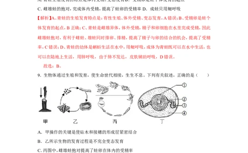 7.1.3两栖动物的生殖和发育-2020-2021学年八年级下册生物10分钟达标练习（人教版）（解析版）_1、初中学习资料_4-6、生物_4-6-4、初二生物下册_1、同步练习（67份）