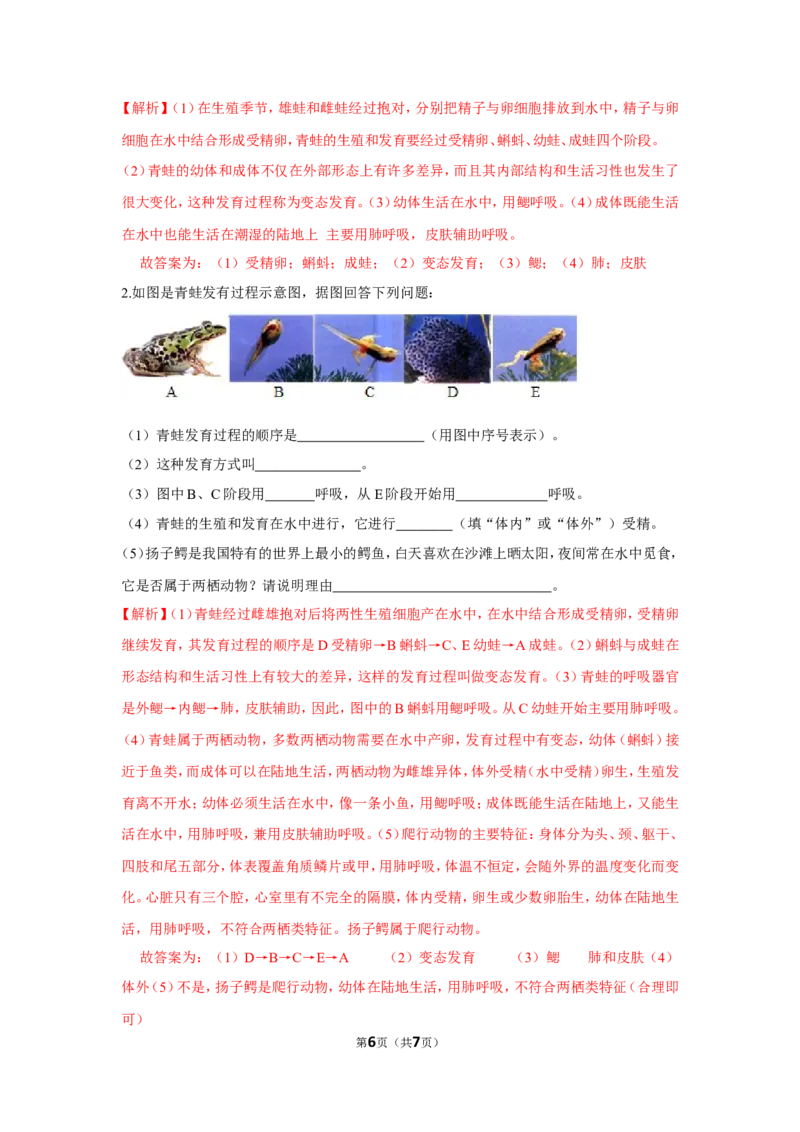 7.1.3两栖动物的生殖和发育-2020-2021学年八年级下册生物10分钟达标练习（人教版）（解析版）_1、初中学习资料_4-6、生物_4-6-4、初二生物下册_1、同步练习（67份）