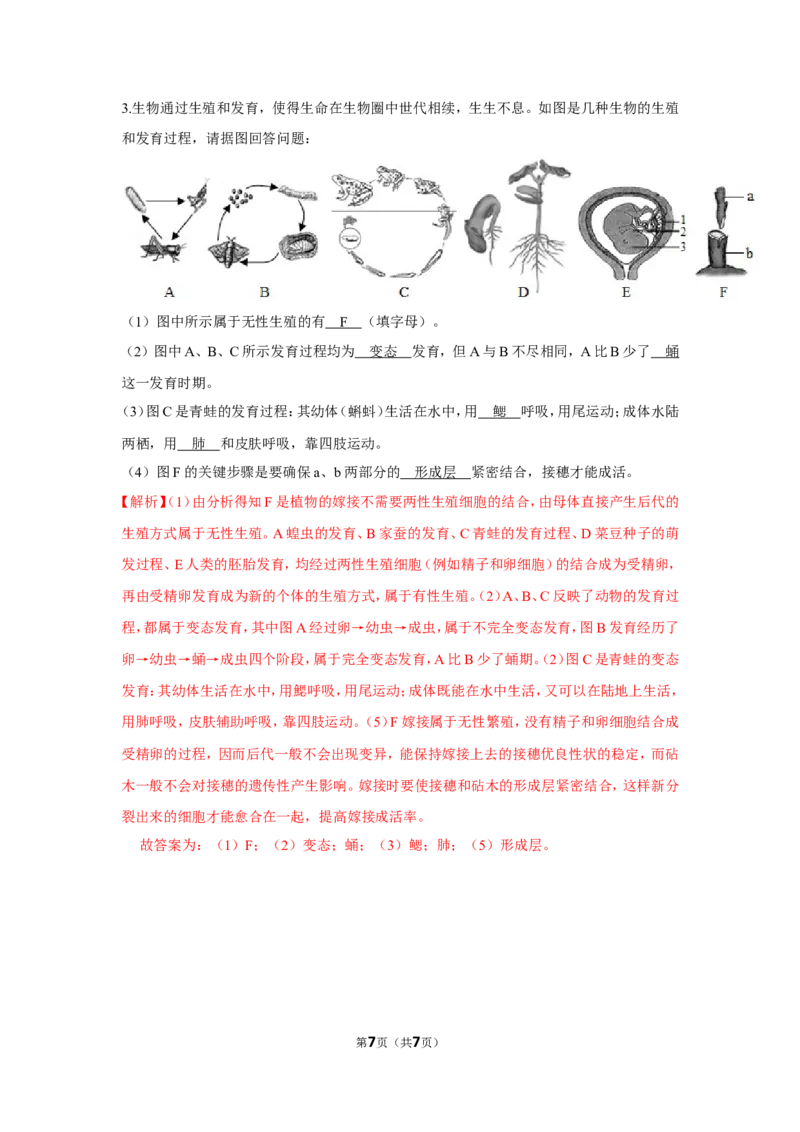 7.1.3两栖动物的生殖和发育-2020-2021学年八年级下册生物10分钟达标练习（人教版）（解析版）_1、初中学习资料_4-6、生物_4-6-4、初二生物下册_1、同步练习（67份）