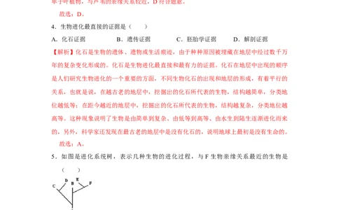 7.3.2生物进化的历程-2020-2021学年八年级下册生物10分钟达标练习（人教版）（解析版）_1、初中学习资料_4-6、生物_4-6-4、初二生物下册_1、同步练习（67份）_达标练习（人教版）（14份）