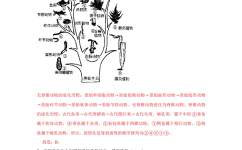7.3.2生物进化的历程-2020-2021学年八年级下册生物10分钟达标练习（人教版）（解析版）_1、初中学习资料_4-6、生物_4-6-4、初二生物下册_1、同步练习（67份）_达标练习（人教版）（14份）