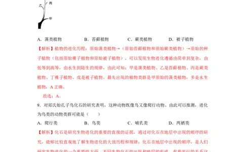7.3.2生物进化的历程-2020-2021学年八年级下册生物10分钟达标练习（人教版）（解析版）_1、初中学习资料_4-6、生物_4-6-4、初二生物下册_1、同步练习（67份）_达标练习（人教版）（14份）