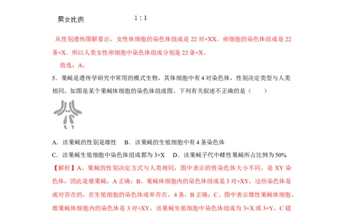 7.2.4人的性别遗传-2020-2021学年八年级下册生物10分钟达标练习（人教版）（解析版）_1、初中学习资料_4-6、生物_4-6-4、初二生物下册_1、同步练习（67份）_达标练习（人教版）（14份）