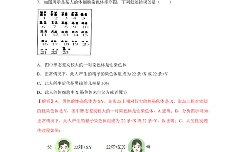 7.2.4人的性别遗传-2020-2021学年八年级下册生物10分钟达标练习（人教版）（解析版）_1、初中学习资料_4-6、生物_4-6-4、初二生物下册_1、同步练习（67份）_达标练习（人教版）（14份）