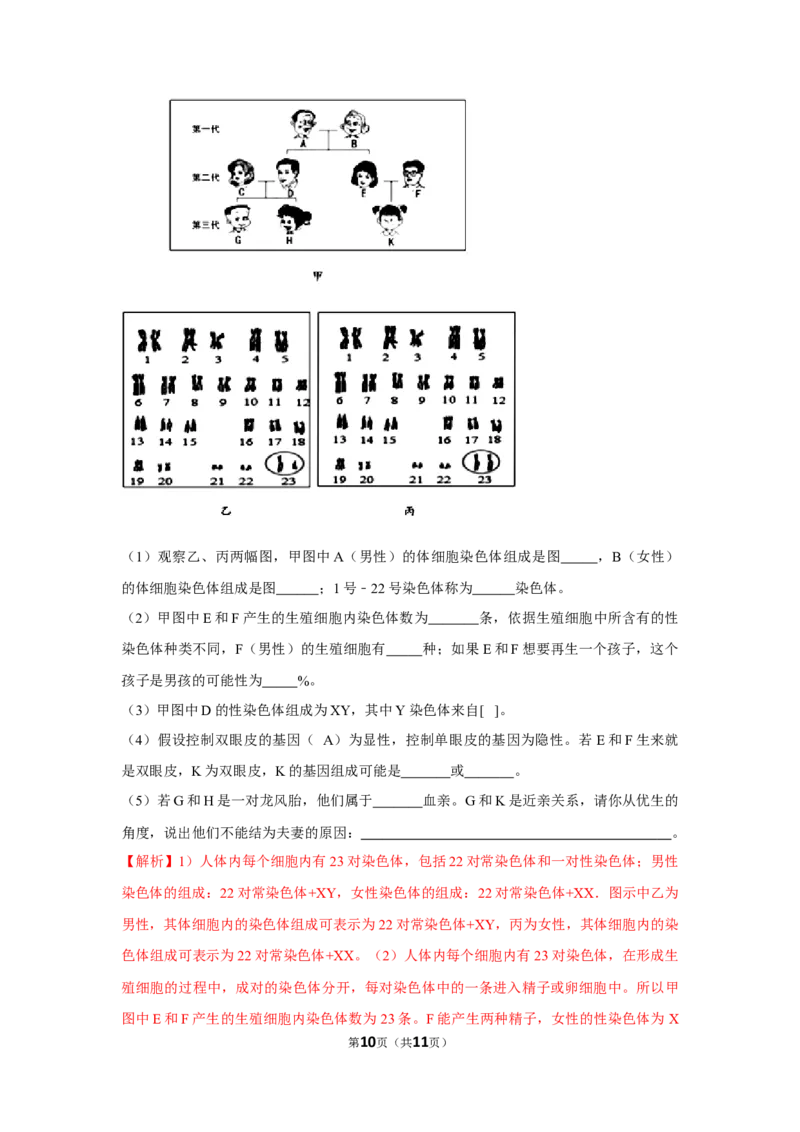 7.2.4人的性别遗传-2020-2021学年八年级下册生物10分钟达标练习（人教版）（解析版）_1、初中学习资料_4-6、生物_4-6-4、初二生物下册_1、同步练习（67份）_达标练习（人教版）（14份）