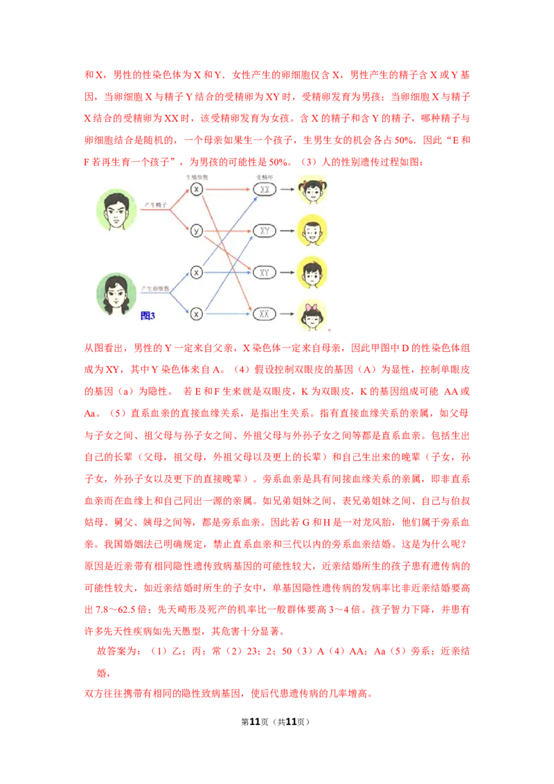 7.2.4人的性别遗传-2020-2021学年八年级下册生物10分钟达标练习（人教版）（解析版）_1、初中学习资料_4-6、生物_4-6-4、初二生物下册_1、同步练习（67份）_达标练习（人教版）（14份）