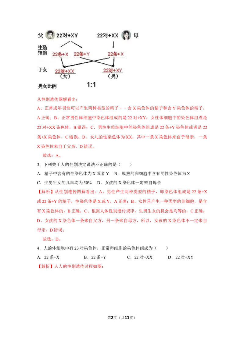 7.2.4人的性别遗传-2020-2021学年八年级下册生物10分钟达标练习（人教版）（解析版）_1、初中学习资料_4-6、生物_4-6-4、初二生物下册_1、同步练习（67份）_达标练习（人教版）（14份）