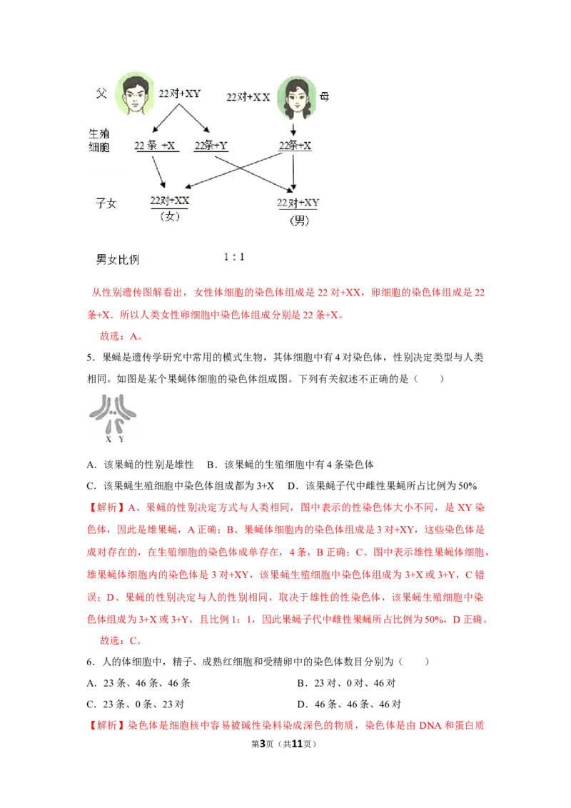 7.2.4人的性别遗传-2020-2021学年八年级下册生物10分钟达标练习（人教版）（解析版）_1、初中学习资料_4-6、生物_4-6-4、初二生物下册_1、同步练习（67份）_达标练习（人教版）（14份）
