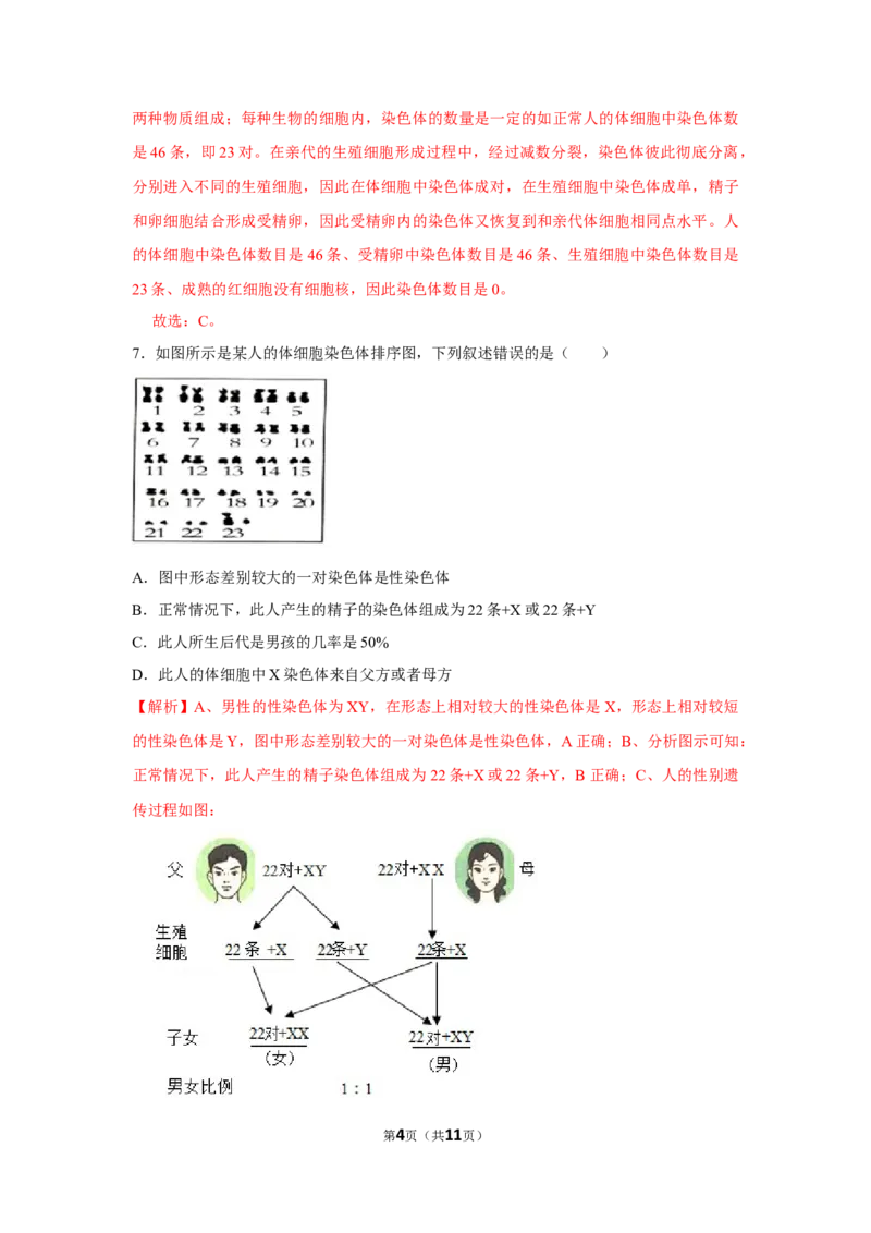 7.2.4人的性别遗传-2020-2021学年八年级下册生物10分钟达标练习（人教版）（解析版）_1、初中学习资料_4-6、生物_4-6-4、初二生物下册_1、同步练习（67份）_达标练习（人教版）（14份）