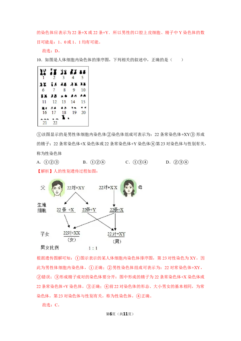 7.2.4人的性别遗传-2020-2021学年八年级下册生物10分钟达标练习（人教版）（解析版）_1、初中学习资料_4-6、生物_4-6-4、初二生物下册_1、同步练习（67份）_达标练习（人教版）（14份）