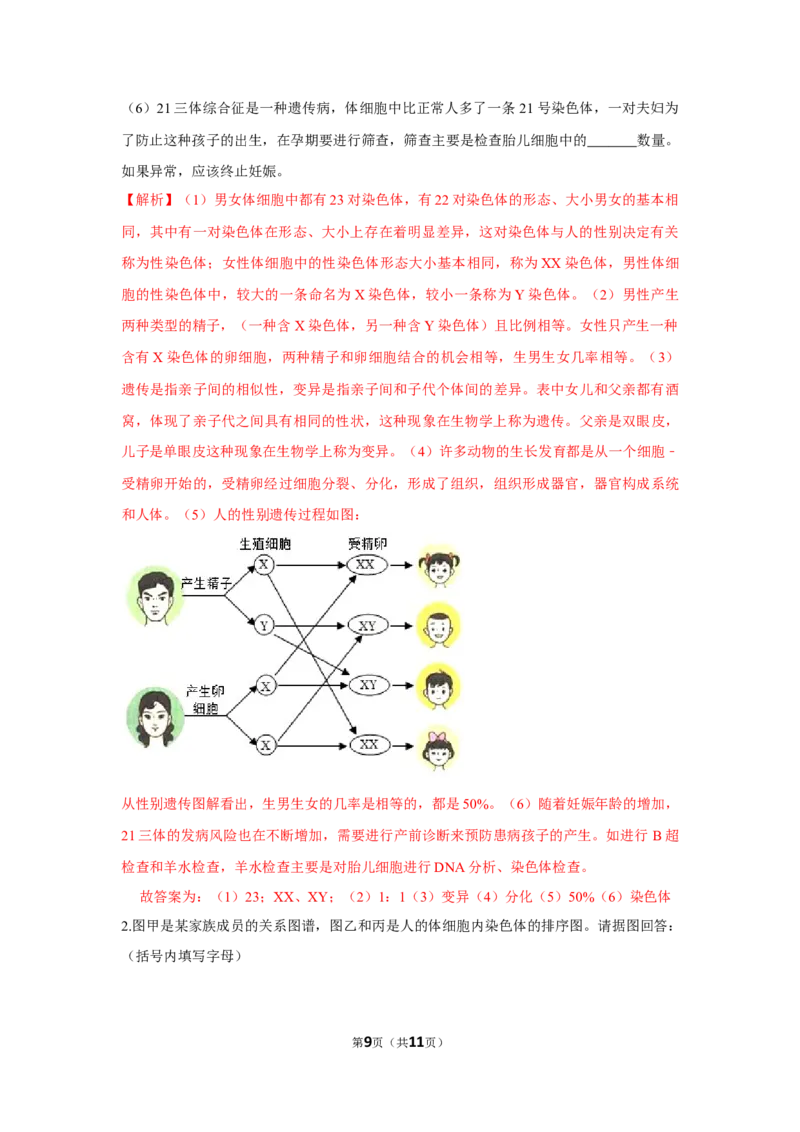 7.2.4人的性别遗传-2020-2021学年八年级下册生物10分钟达标练习（人教版）（解析版）_1、初中学习资料_4-6、生物_4-6-4、初二生物下册_1、同步练习（67份）_达标练习（人教版）（14份）