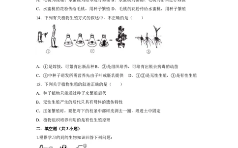 7.1.1植物的生殖-2020-2021学年八年级下册生物10分钟达标练习（人教版）（原卷版）_1、初中学习资料_4-6、生物_4-6-4、初二生物下册_1、同步练习（67份）_达标练习（人教版）（14份）